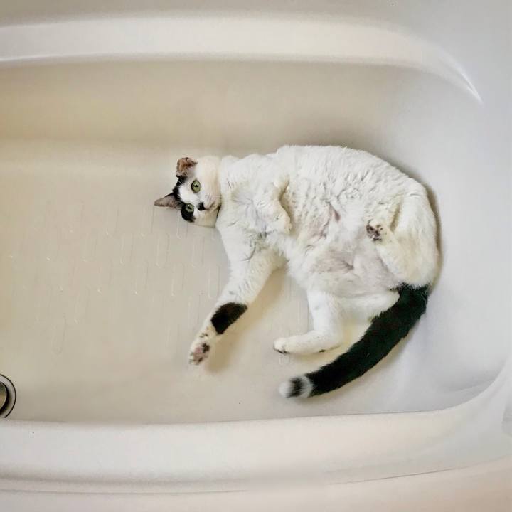 4c58ef6a ce09 422b 9c63 5a3394544e72 1665848245361