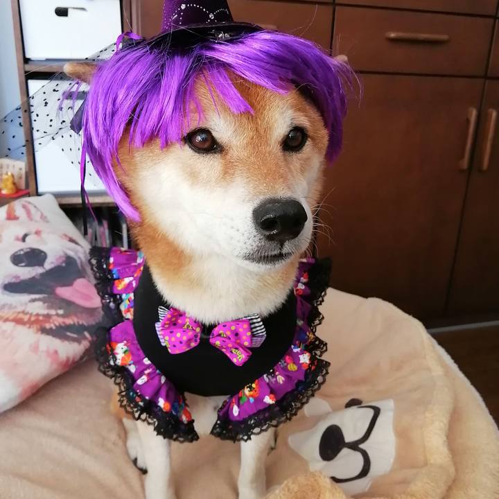 4c593c2e f93c 4652 bd97 2deb85c96e73 1664527679176