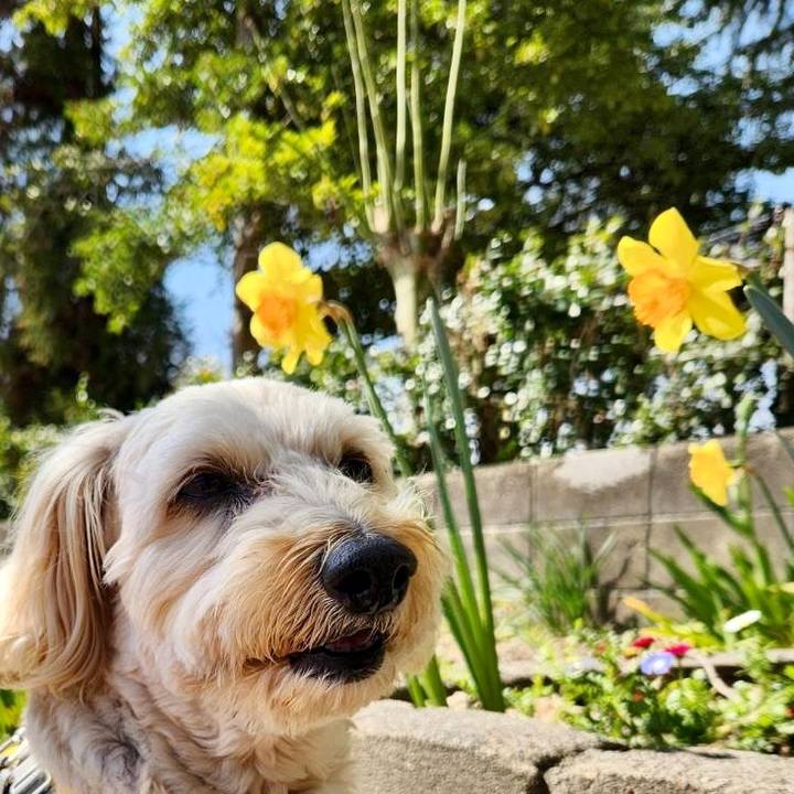 4c59740e 54dc 4d25 94cf 40c4f0636873 1773116013978