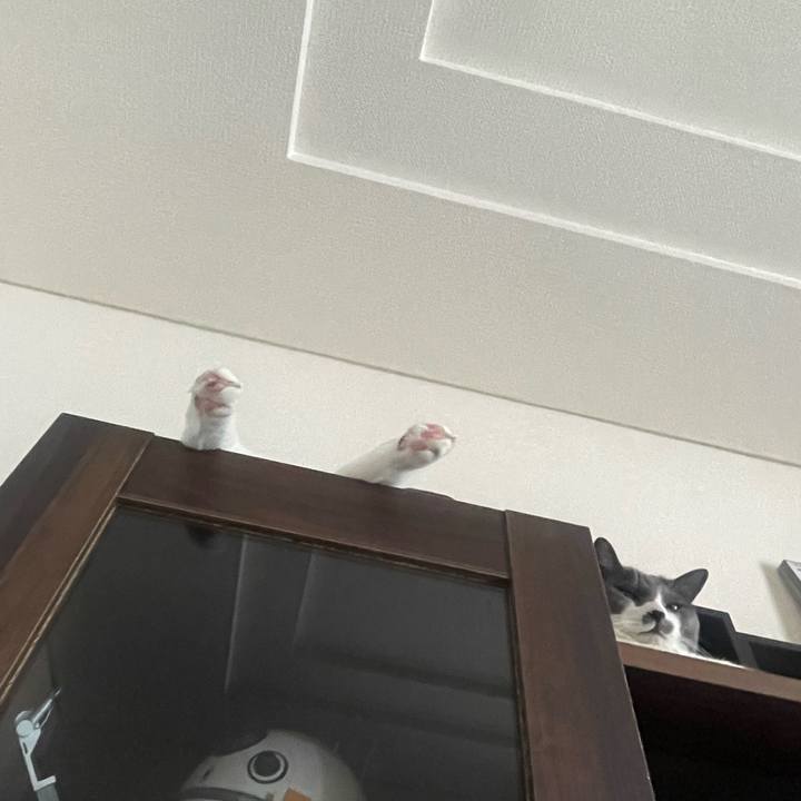 4c59f622 cfec 4213 924a d2fbee8576e6 1686638094995