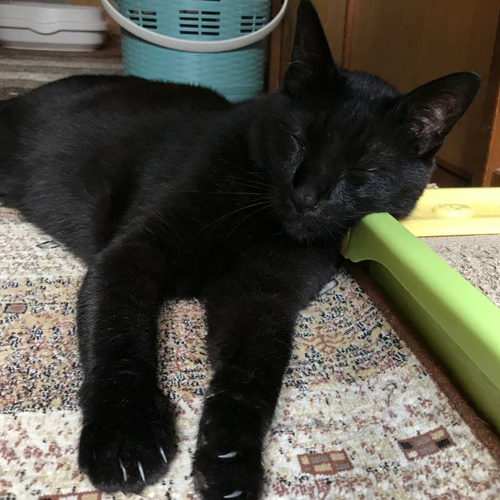 4c5a1101 061f 4b49 8f06 cfb02adb3aee 1530323884243