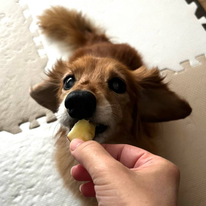 4c5a2e2e 3fc4 4993 9445 9f7d195cd072 1670327388594