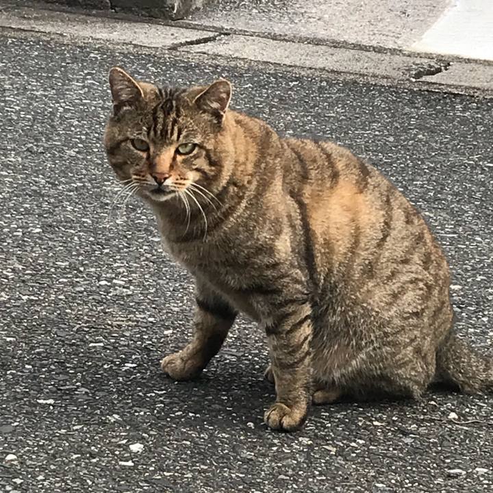 4c5a336f 255c 45e9 83b8 8672151d9b55 1510056748737