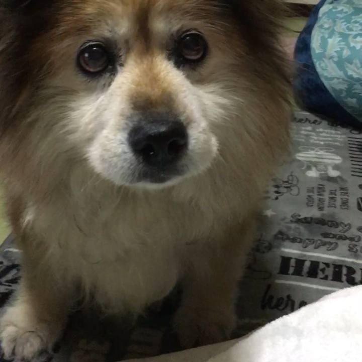 4c5a49a9 6ddc 436e 8b9c 3de81773b842 1657684110731