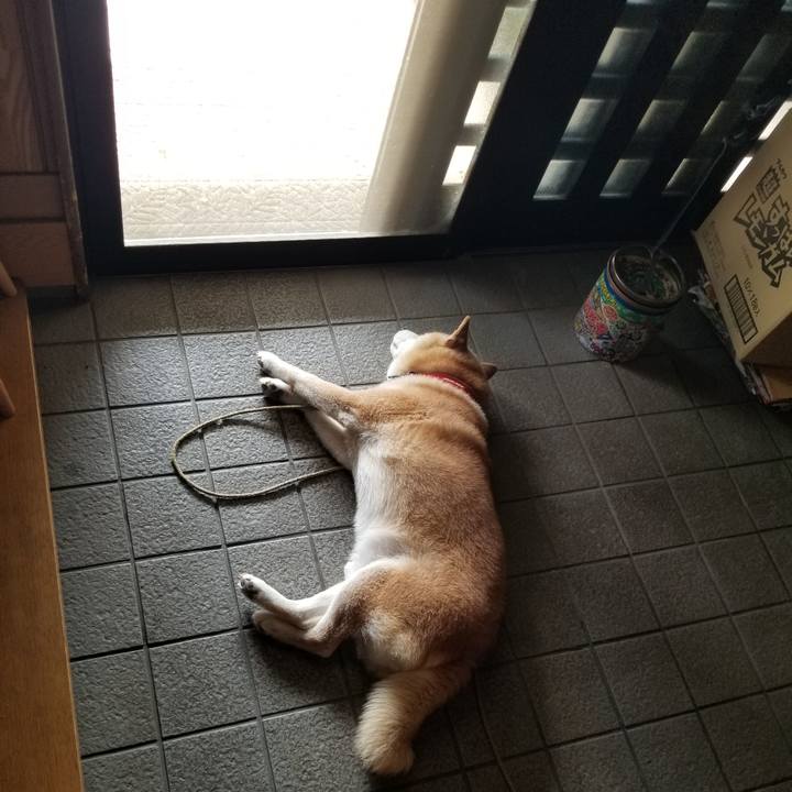 4c5a7993 5475 4721 acd6 e84384c6ba60 1721719293244