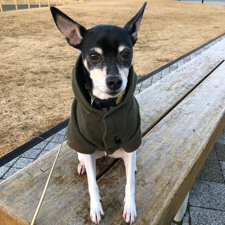 4c5a7ca3 4a8f 42c4 a6d2 7feda0523234 1514853194586