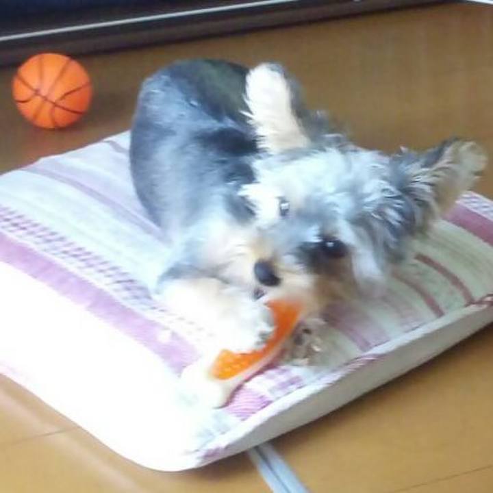 4c5ab273 ee66 4284 a4a7 0826523db9b8 1536141413332