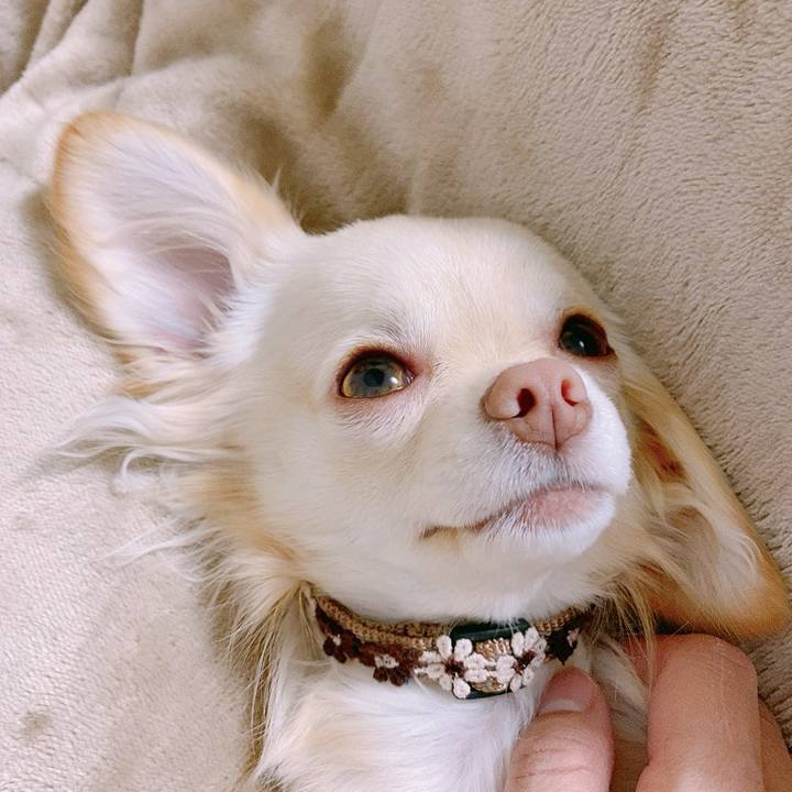 4c5ac510 2d8a 4863 8cfa fdff05b6ac1d 1611614840962