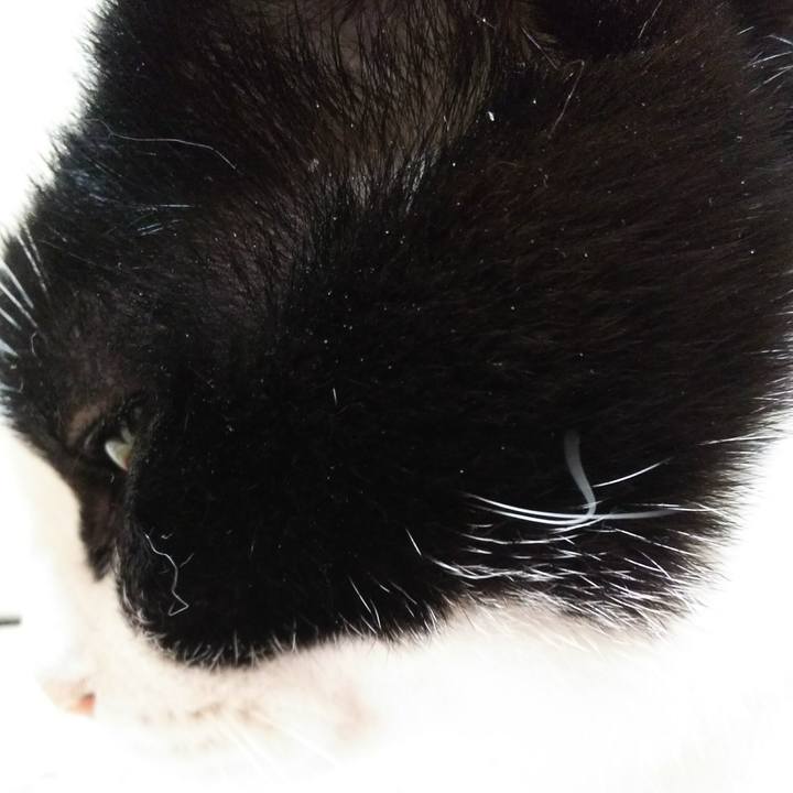 4c5aff29 6f08 4827 a56b 40b5c645e44a 1525477092056