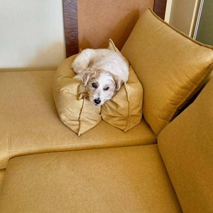 4c5b3cce 5611 4ee9 8096 111693ade4ad 1772439643138