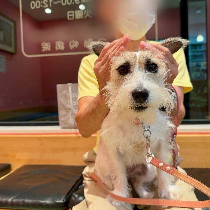 4c5b5017 80a2 4b72 8158 8a19bddcf85d 1695635340719