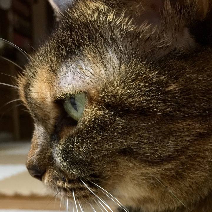 4c5b573f c4cb 4e7a 809c 575b6ca46d46 1508938735417