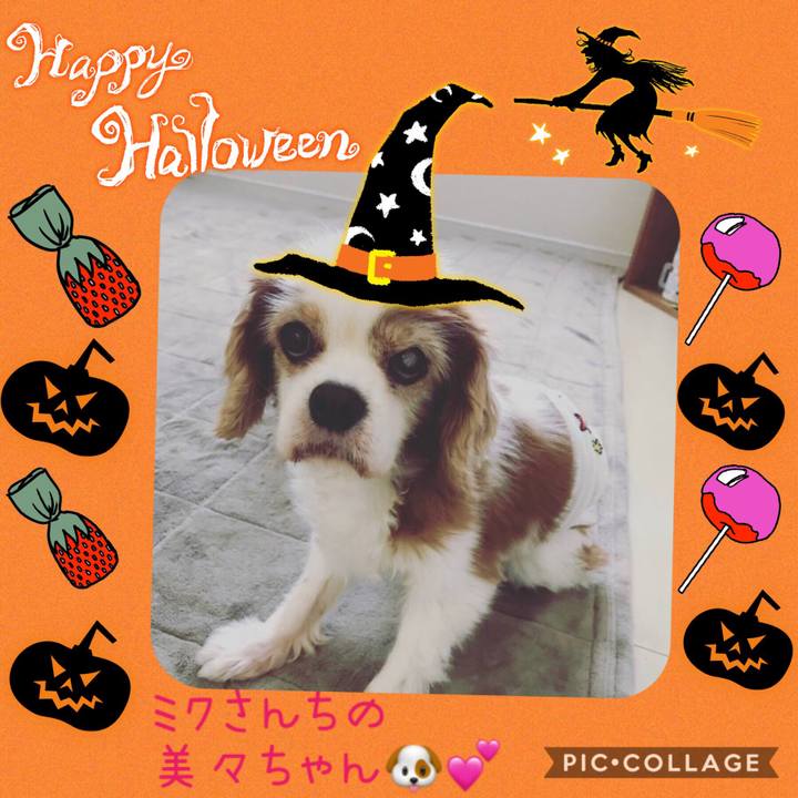 4c5b64fc 15a2 4c12 9ad5 356848e9f37e 1572078827045