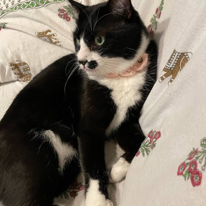 4c5b6be4 65c1 4a84 965a 99416ee4b412 1667980377620