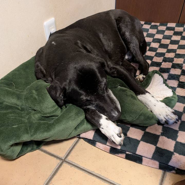 4c5b96ea cc19 4b9e 9929 e92e7da47456 1773351726353