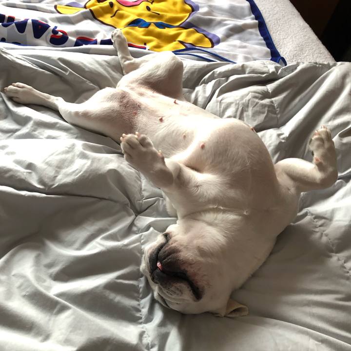 4c5b9ca7 6552 422b ae6e 9e8e0031eb70 1655788203649