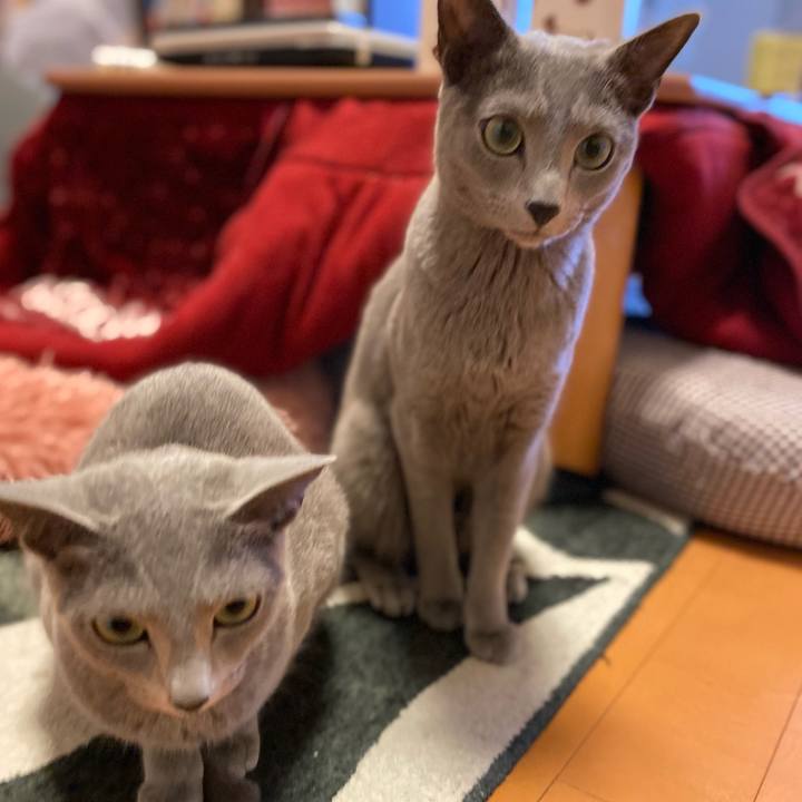 4c5ba2ec 8142 41ef 9904 0ede38c3fb5e 1646717992461