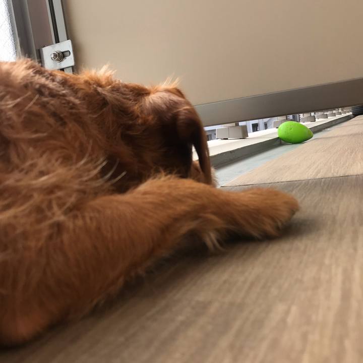 4c5bd481 d9f7 436b 944e 283e37c99683 1571624207792