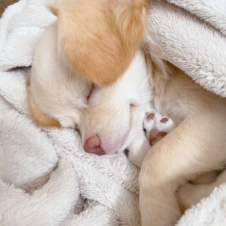 4c5bea11 c635 40c9 aecc b4a5cad3c910 1595919933563