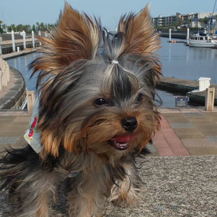 4c5bf962 1ad6 4f6c bdfb 4ce872ffedca 1593259924333