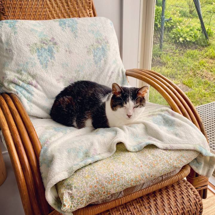 4c5c1446 4c5b 4257 8da3 97c38be1e3f8 1587192187849