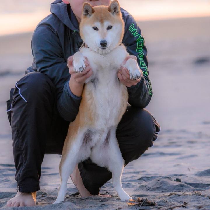 4c5c227e 576f 4dde ab58 e5d93737b51a 1524404660970