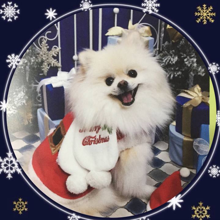 4c5c60a8 d6f8 4530 8e22 76f2af587846 1544575073034