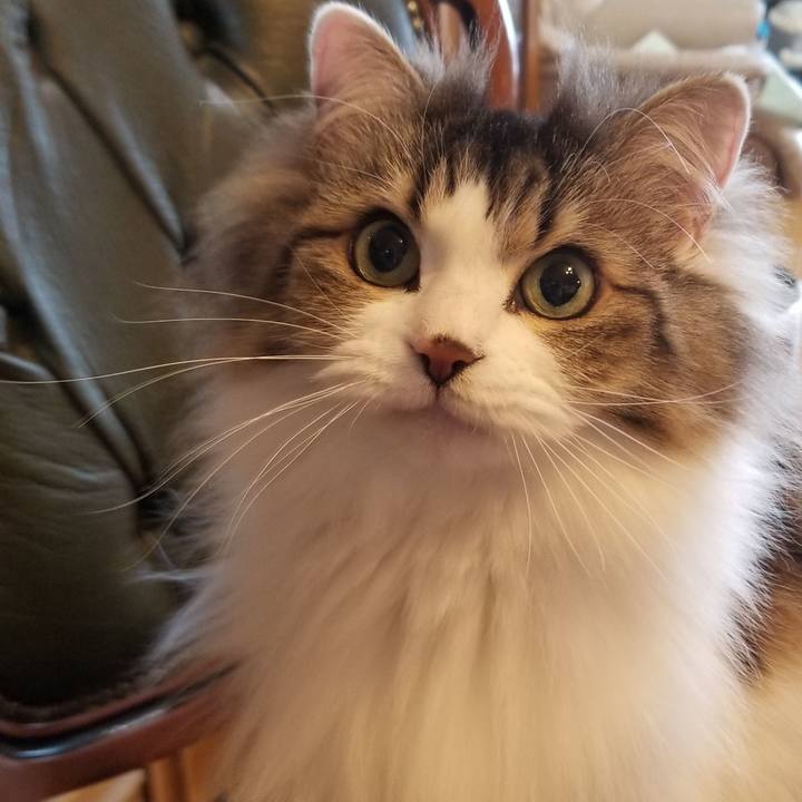 4c5c6c4b f9fb 49ad bc14 34ce1d656adf 1583362844787