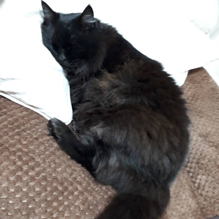 4c5c7e60 a7e2 42d4 bf62 4c6e5fe85ef8 1518442165850