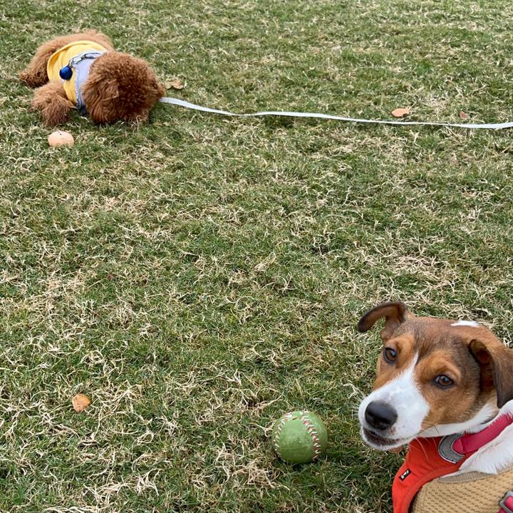 4c5c8520 2d2e 4e2a b759 e7bed7d46195 1731649189201