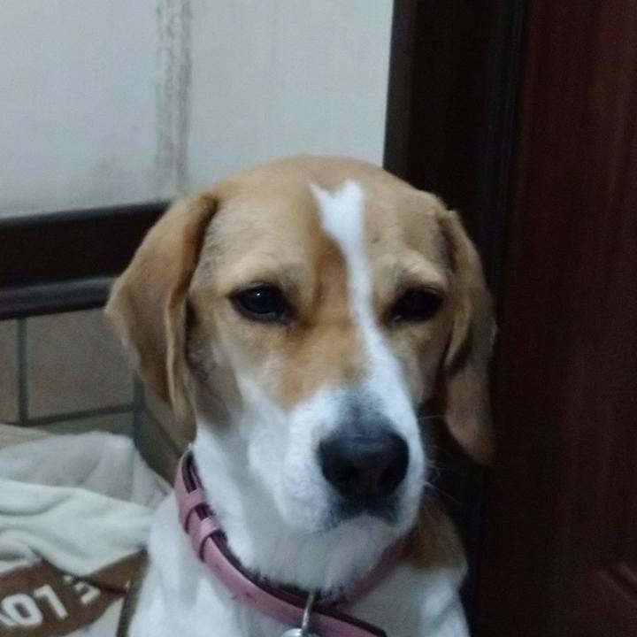 4c5cb5cf ee3d 47b2 a5c7 b2f2ab2127e0 1576640343663