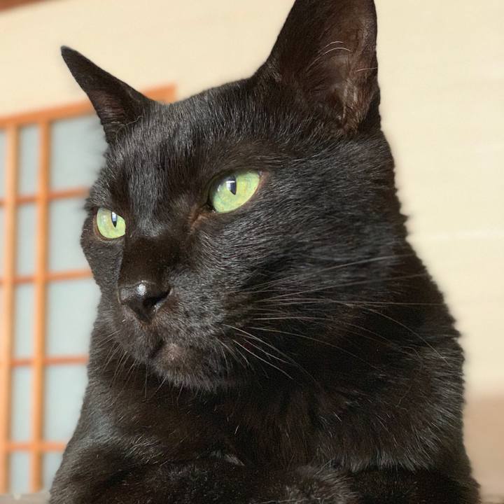 4c5cd12e 8196 4a7c a9b3 d160281b1d42 1566174242809