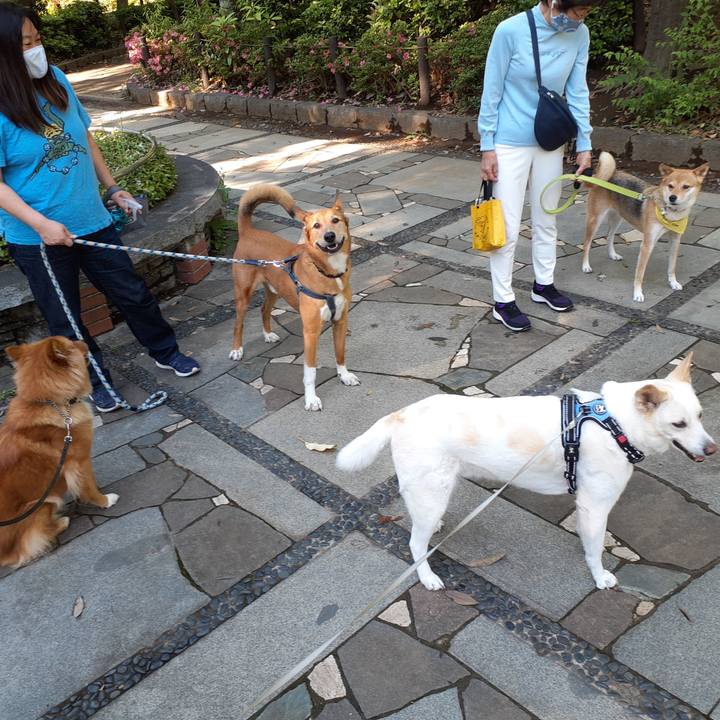 4c5d8900 1fdf 46a7 84c2 11f57504a657 1653698711794