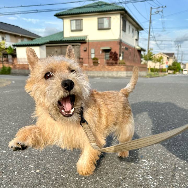 4c5dc702 29fb 40cd 8c27 29ebed1a6618 1714995323653