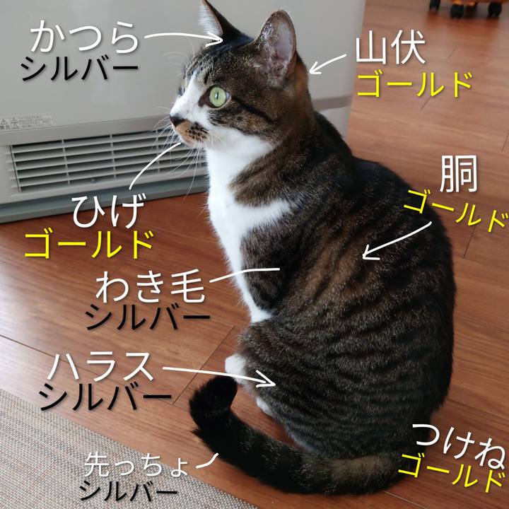 4c5dc91c eccf 47c3 a70b 8e276d003fe4 1770363343862