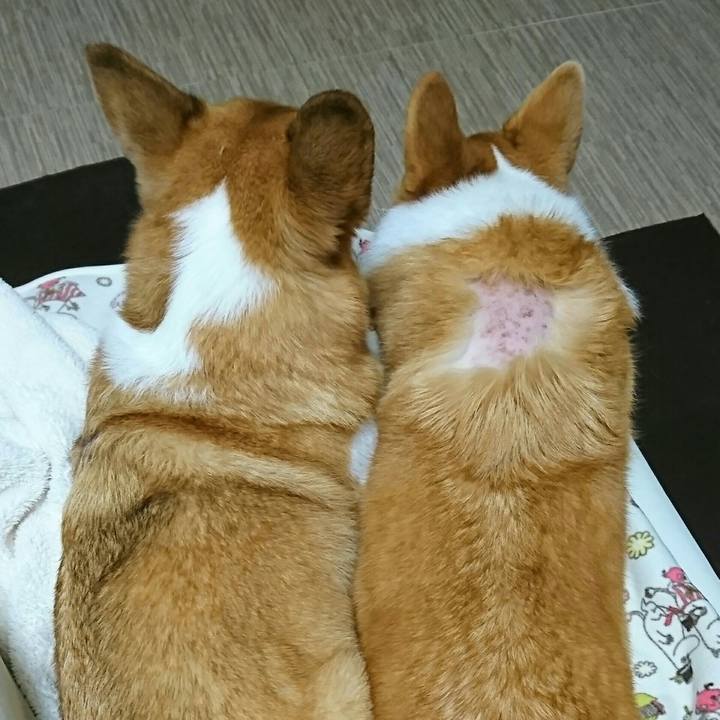 4c5df270 14be 4cf0 8a2f ad6fb88a18ae 1545446200357