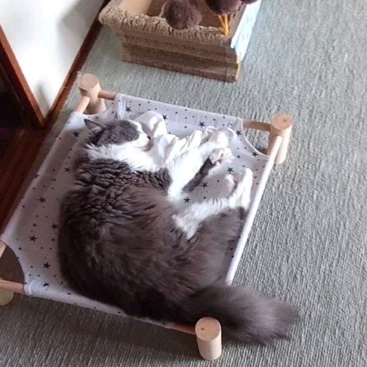 4c5e04d9 0c12 41f6 8757 d5d22f405c15 1661064060252