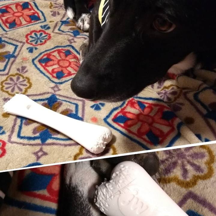 4c5e1083 b32f 42fb be09 338f3909aea3 1609635781021