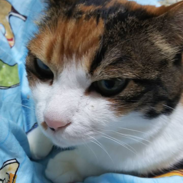 4c5e13e7 e42a 4763 a46c 3faa4d87c538 1586213038765