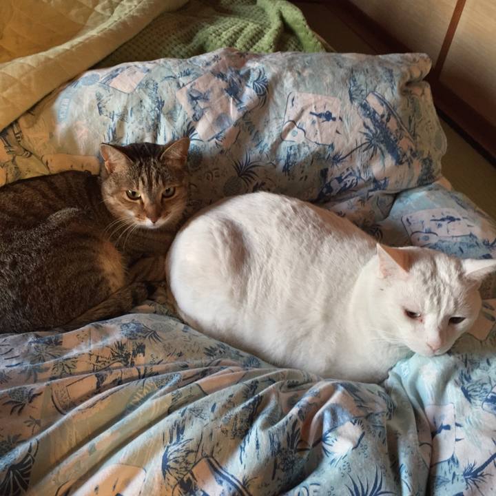 4c5e1a5d 21a8 4ce7 9533 075ee9ea48b1 1515535531869