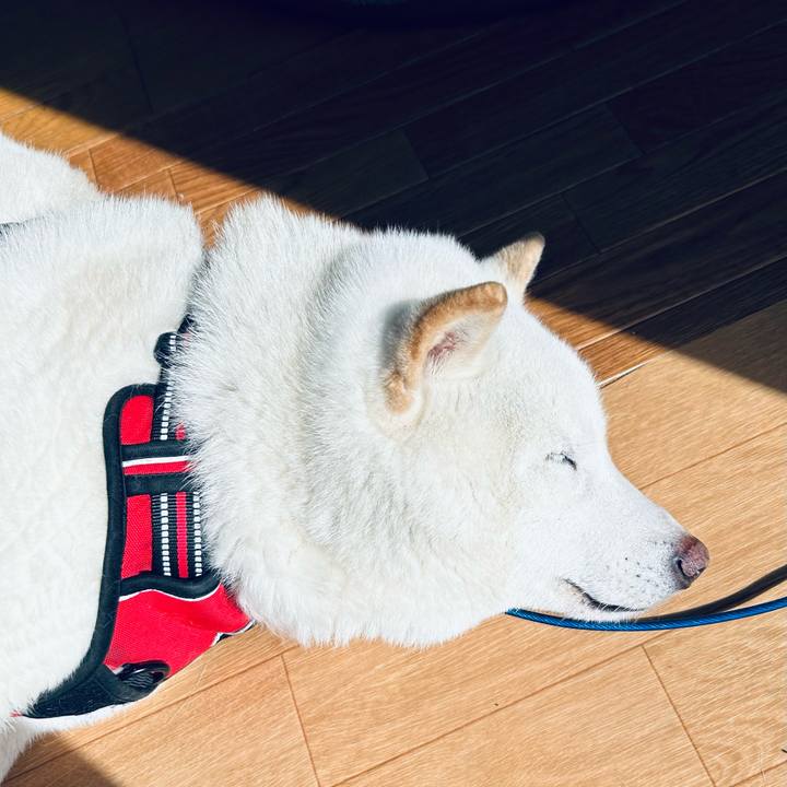 4c5e4b81 cb6b 4d6a 965f cf3119b2b3ea 1709890388302