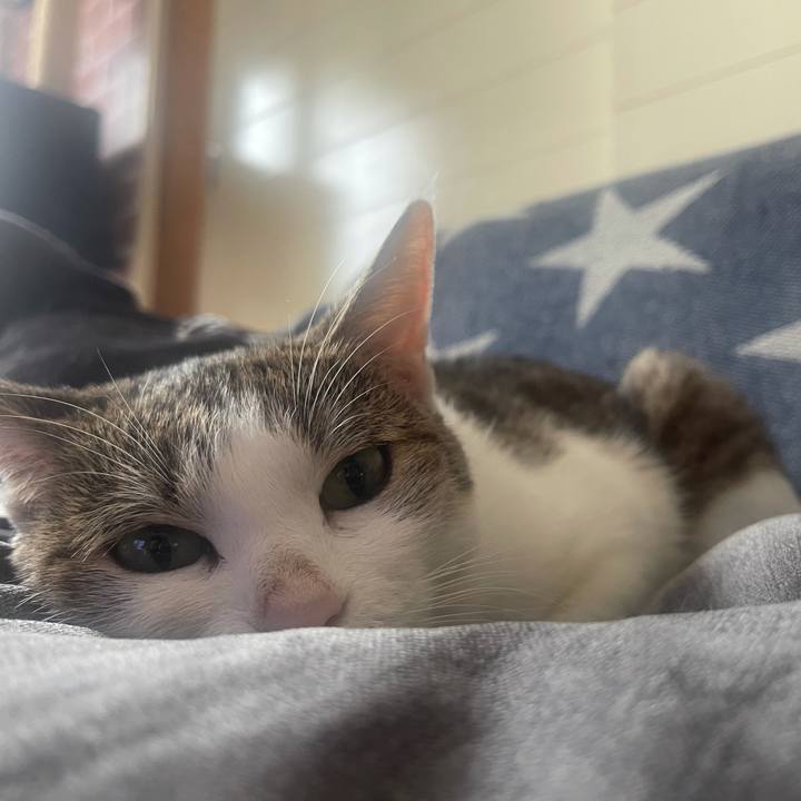 4c5e5bfb 51fa 4867 8252 91ba012418f7 1631501868981