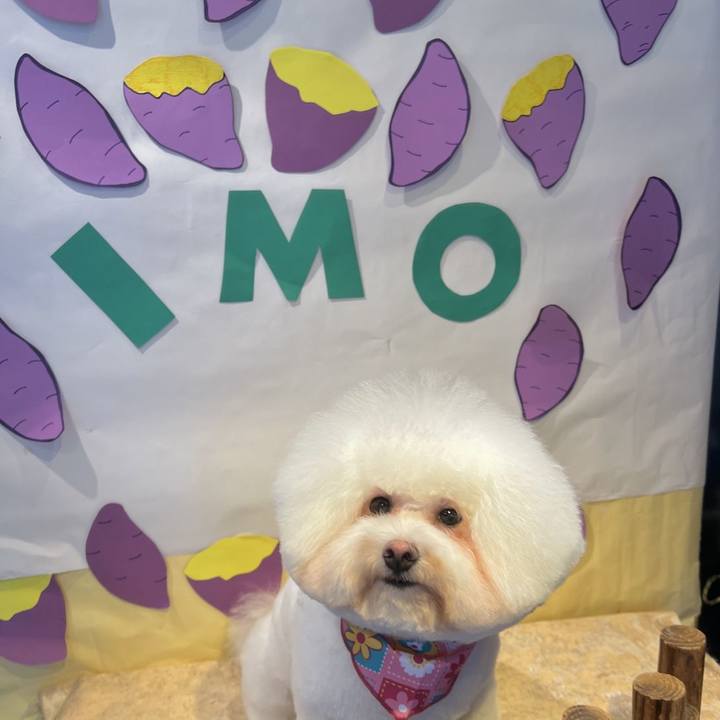 4c5e888b 9e85 4664 95cf 5c1fdab1b8d7 1697709440435