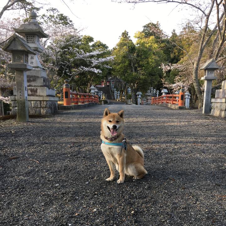 4c5ea09f 5b1a 4601 9a91 584b215f478b 1541473791781