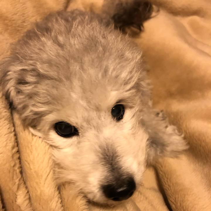 4c5ea60d c099 43be 9d45 09fc5bce8ff1 1580132896088