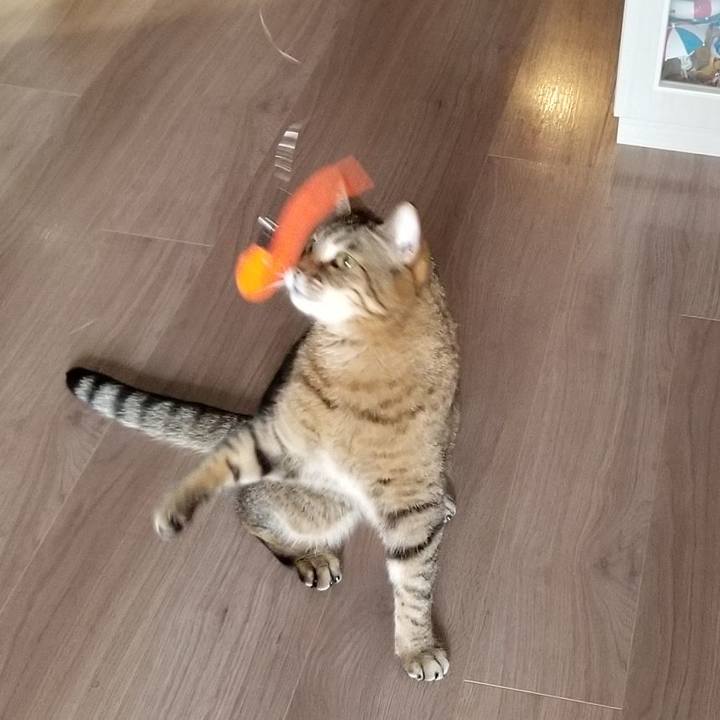 4c5eca28 fe56 4734 914e a17d44beabef 1552695190150