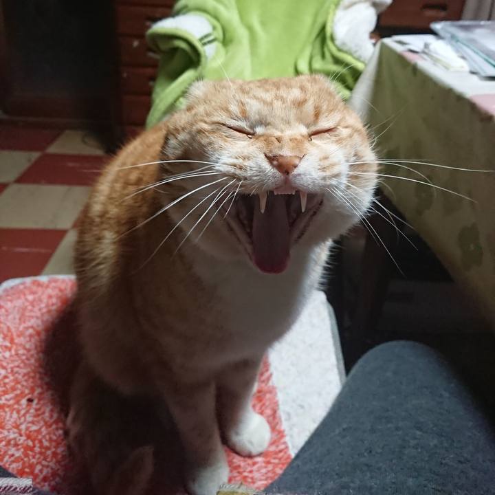 4c5edc6b 2c0f 4ede b259 b591a222d3aa 1583093238966