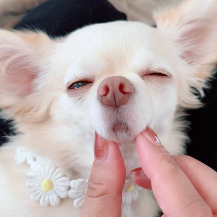 4c5edfbe 33a5 4760 91d5 f8ce71e80f15 1689850353896