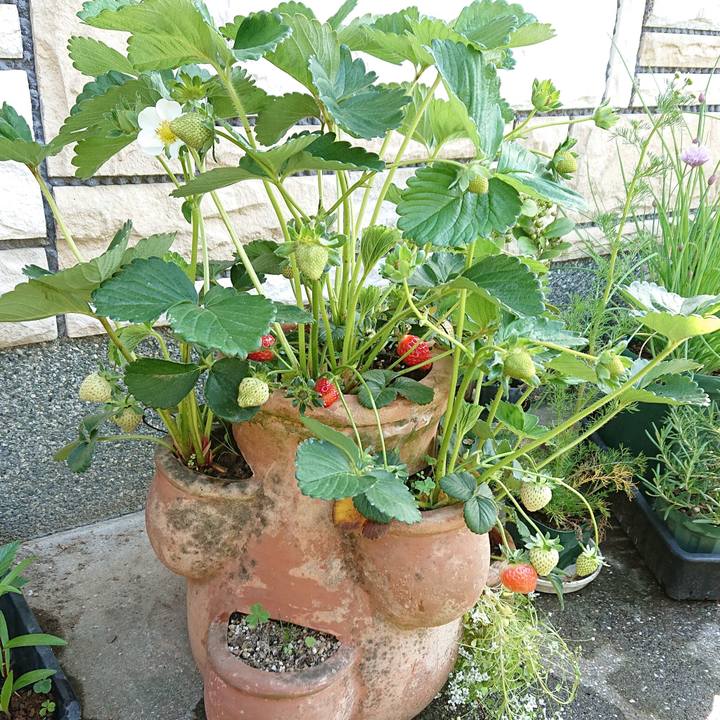 4c5eec73 7aa5 4f1f a12a e42a6b384394 1618010913709