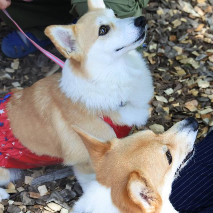 4c5ef5d6 00cb 4818 aa6f 3b1284f6866e 1525161812459